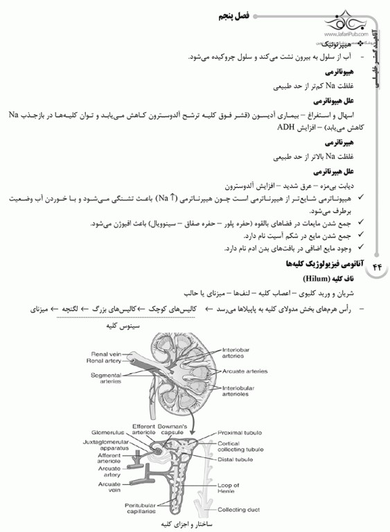 درسنامه AGK فیزیولوژی انسانی
