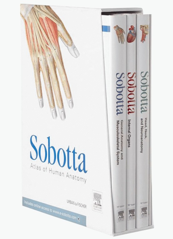 اطلس آناتومی زوبوتا | Atlas of Human Anatomy Sobotta 2011