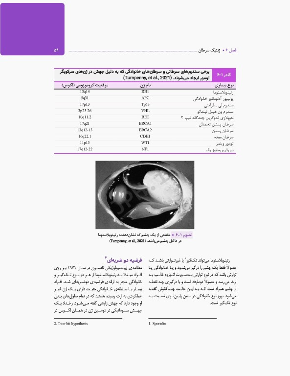 ژنتیک پزشکی در مامایی ویژه دانشجویان و دانش آموختگان رشته مامایی