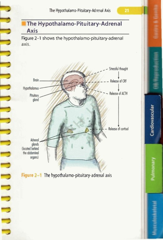 راهنمای جیبی آموزش به بیمار | pocket guide for patient education