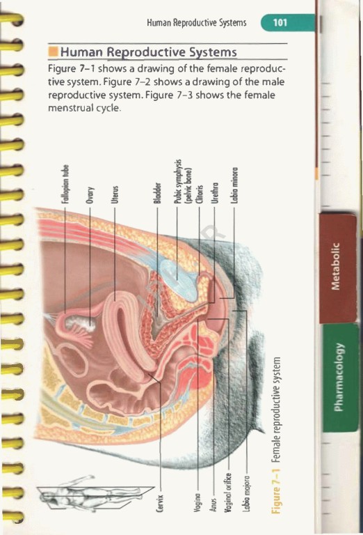 راهنمای جیبی آموزش به بیمار | pocket guide for patient education
