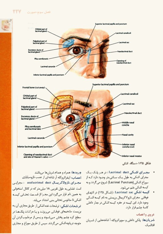 آناتومی بالینی سر و گردن دکتر اکبری