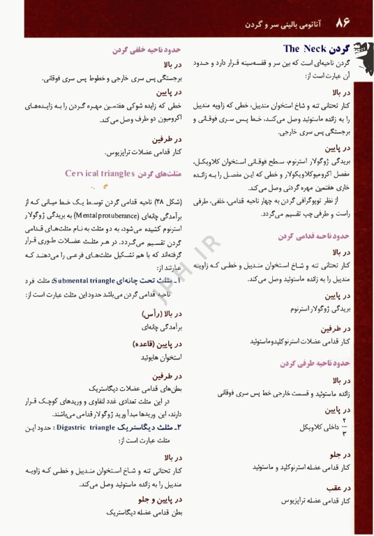 آناتومی بالینی سر و گردن دکتر اکبری