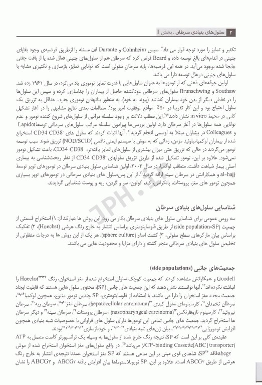 سلول‌های بنیادی سرطان