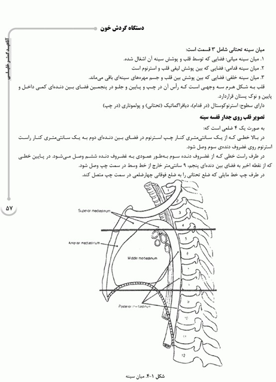 درسنامه AGK علوم تشریح ویژه کارشناسی ارشد رشته ارگونومی