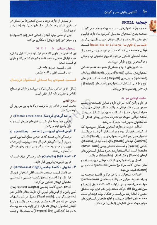 آناتومی بالینی سر و گردن دکتر اکبری