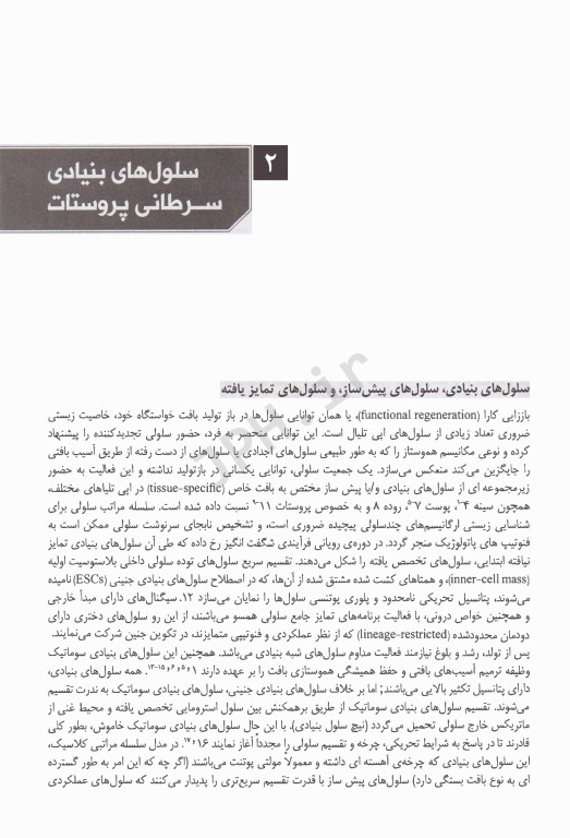 سلول‌های بنیادی سرطان