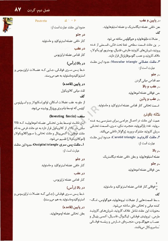 آناتومی بالینی سر و گردن دکتر اکبری