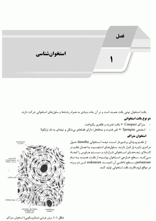 درسنامه AGK علوم تشریح ویژه کارشناسی ارشد رشته ارگونومی