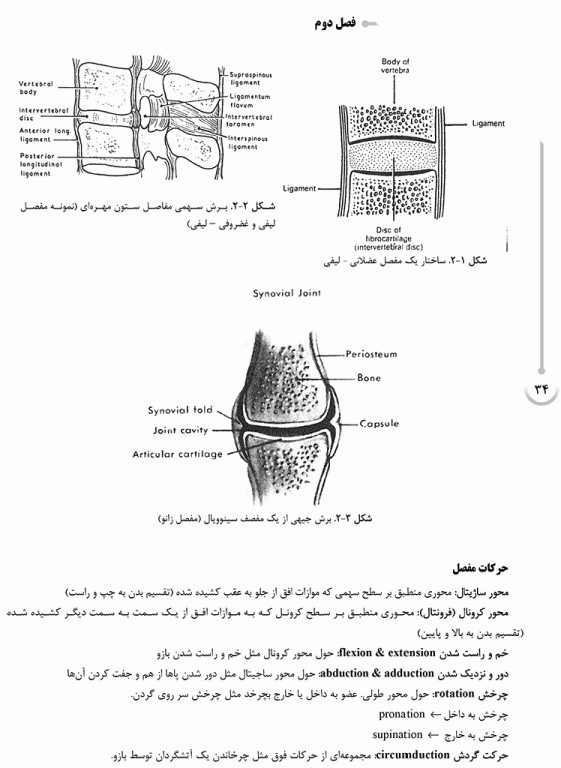 درسنامه AGK علوم تشریح ویژه کارشناسی ارشد رشته ارگونومی