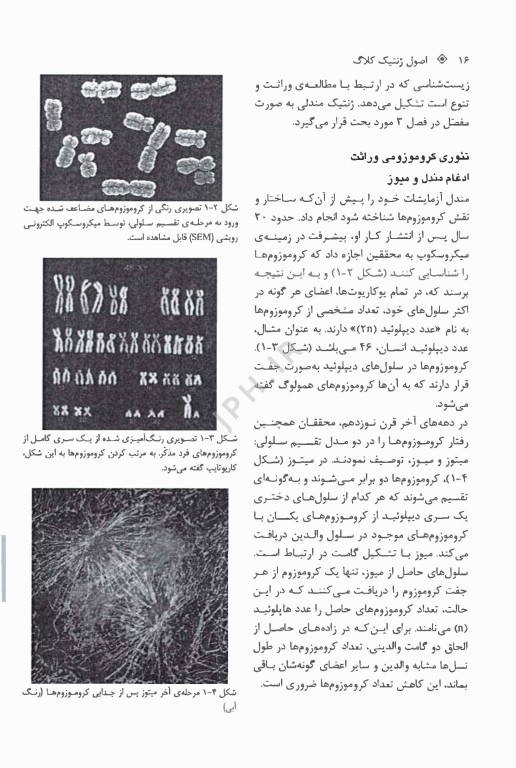 اصول ژنتیک کلاگ 2019 جلد اول