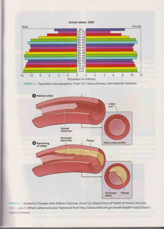 سلامت سالمندی: اصول و عملکرد بالینی برای پزشکان 2014 | Healthy Aging: Principles and Clinical Practice for Clinicians