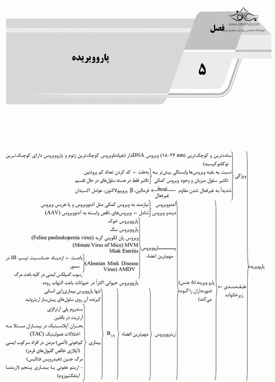 AGK الگوریتم ویروس‌شناسی