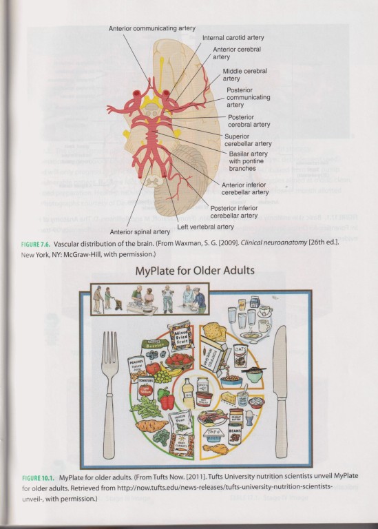 سلامت سالمندی: اصول و عملکرد بالینی برای پزشکان 2014 | Healthy Aging: Principles and Clinical Practice for Clinicians