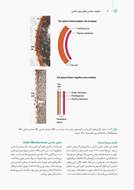 چهل کتاب مامایی گلبان میکروب‌شناسی نظری