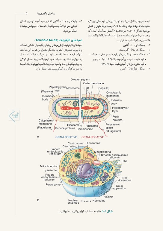 چهل کتاب مامایی گلبان میکروب‌شناسی نظری