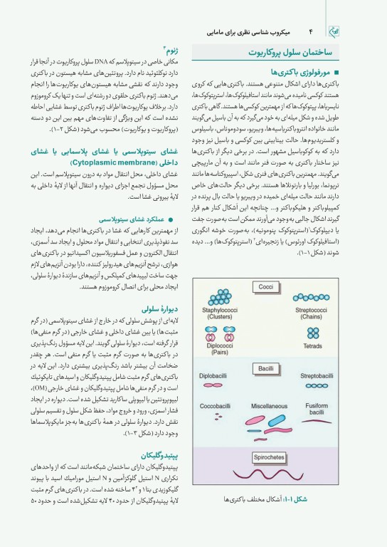 چهل کتاب مامایی گلبان میکروب‌شناسی نظری