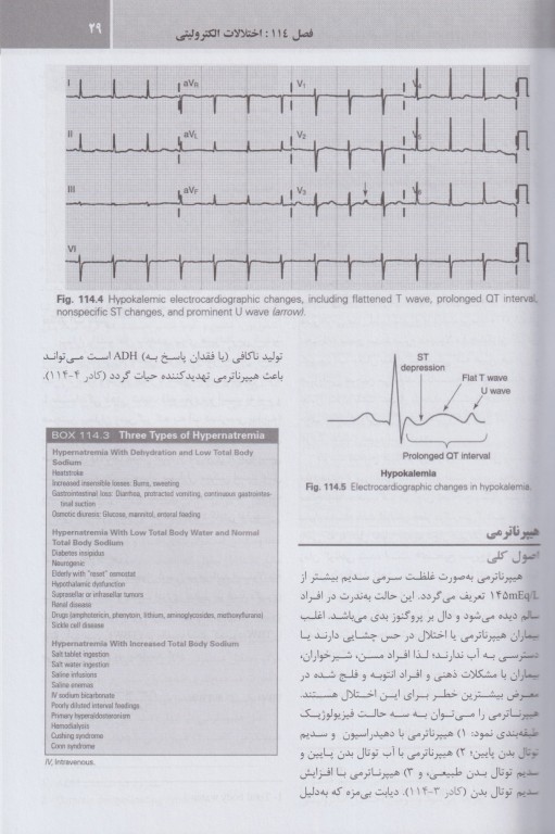 مجموعه ترجمه و تلخیص دانشنامه طب اورژانس روزن 2022 غدد و متابولیسم