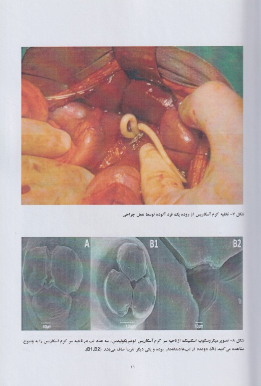 کرم‌شناسی مصور پزشکی