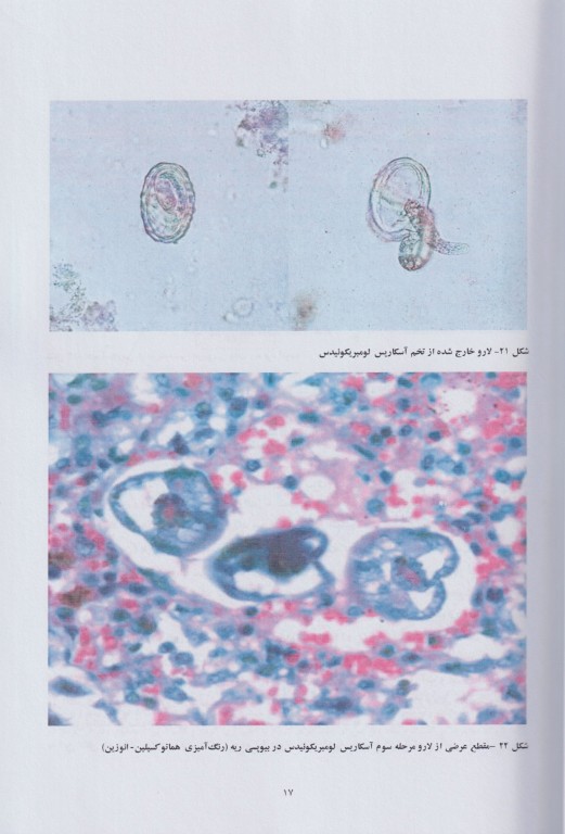 کرم‌شناسی مصور پزشکی