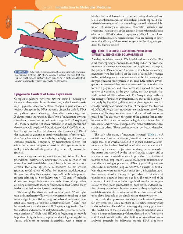 مبانی طب داخلی سسیل 2016 بیماری‌های عفونی | Andreoli and Carpenter's Cecil Essentials of Medicine 9th Edition