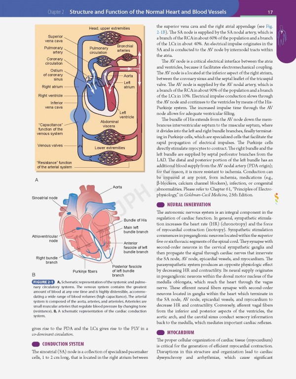 مبانی طب داخلی سسیل 2016 بیماری‌های عفونی | Andreoli and Carpenter's Cecil Essentials of Medicine 9th Edition