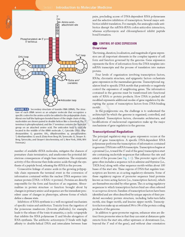 مبانی طب داخلی سسیل 2016 بیماری‌های عفونی | Andreoli and Carpenter's Cecil Essentials of Medicine 9th Edition