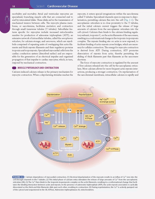 مبانی طب داخلی سسیل 2016 بیماری‌های عفونی | Andreoli and Carpenter's Cecil Essentials of Medicine 9th Edition