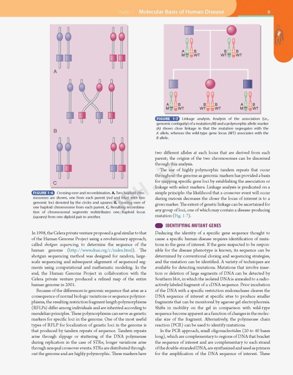 مبانی طب داخلی سسیل 2016 بیماری‌های عفونی | Andreoli and Carpenter's Cecil Essentials of Medicine 9th Edition
