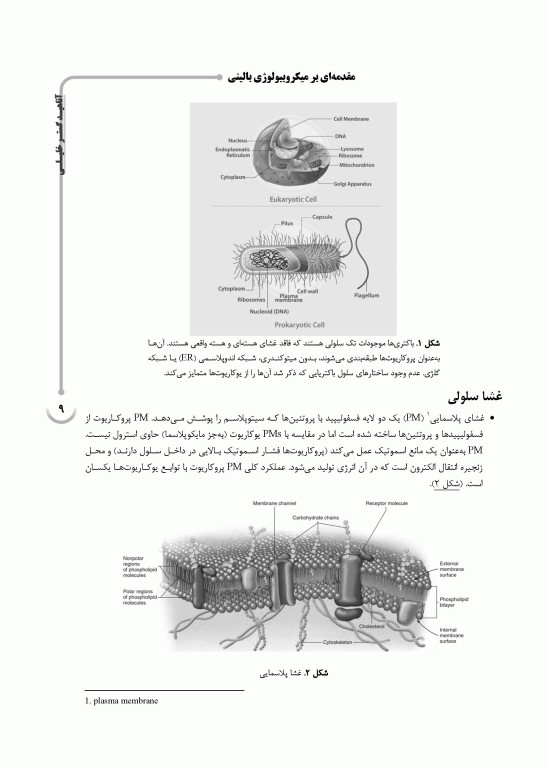 AGK گنجینه نکات ماهون 2023