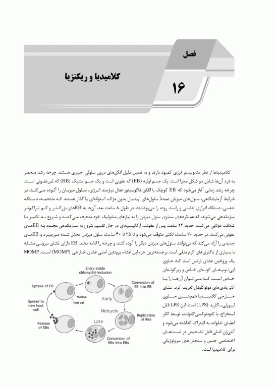 AGK گنجینه نکات ماهون 2023