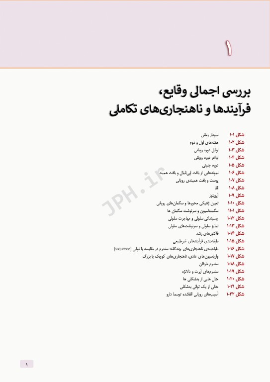 اطلس جنین‌شناسی انسانی نتر 2024