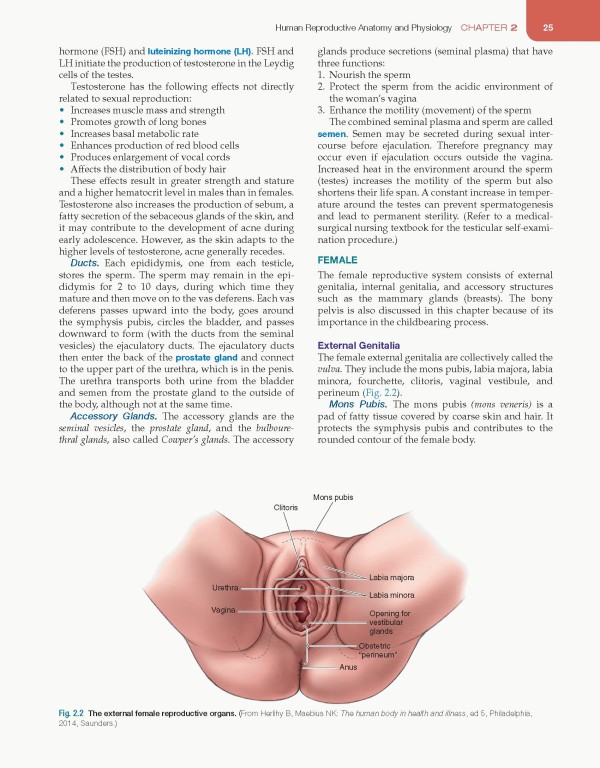 مقدمه‌ای بر پرستاری مادران و نوزادان لیفر2023 | Introduction to Maternity and Pediatric Nursing 9th Edicion