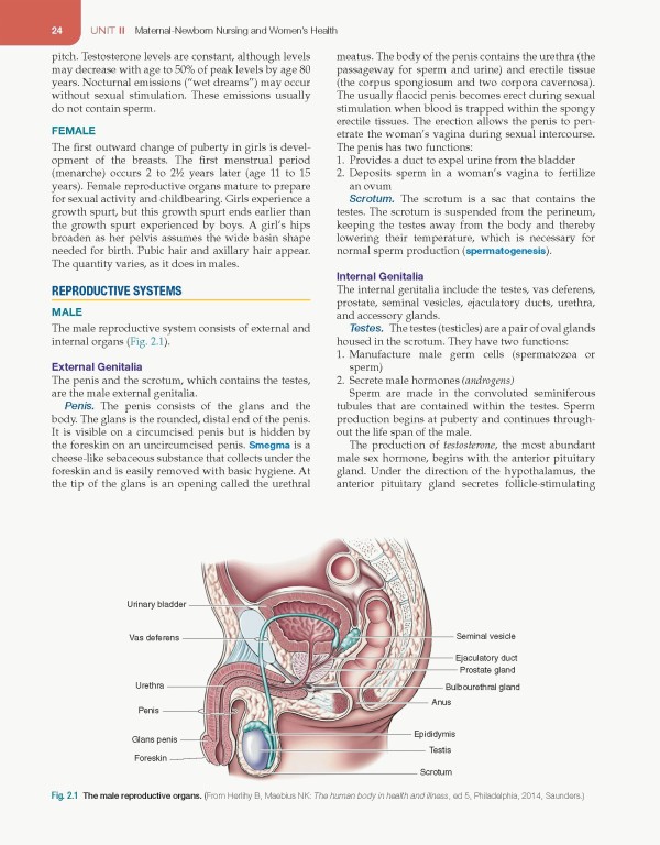مقدمه‌ای بر پرستاری مادران و نوزادان لیفر2023 | Introduction to Maternity and Pediatric Nursing 9th Edicion