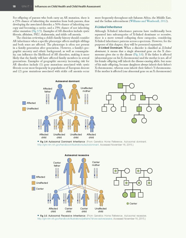 مراقبت‌های اولیه کودکان برنز2020 | Burns' Pediatric Primary Care 7th Edition