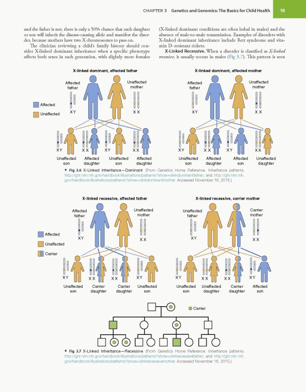 مراقبت‌های اولیه کودکان برنز2020 | Burns' Pediatric Primary Care 7th Edition