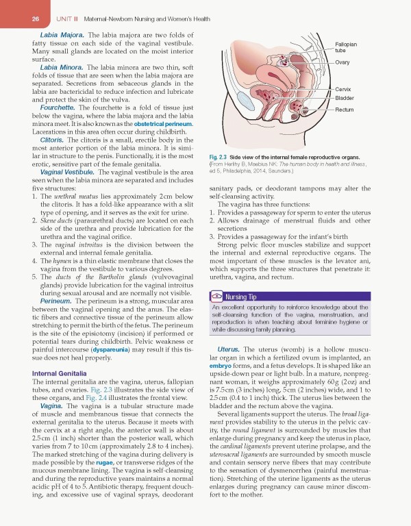 مقدمه‌ای بر پرستاری مادران و نوزادان لیفر2023 | Introduction to Maternity and Pediatric Nursing 9th Edicion