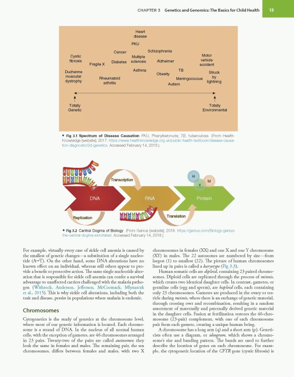 مراقبت‌های اولیه کودکان برنز2020 | Burns' Pediatric Primary Care 7th Edition