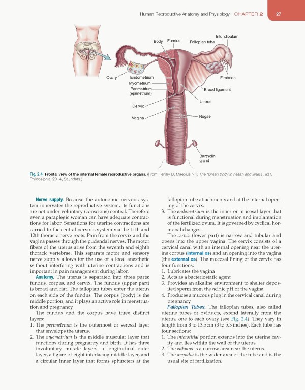 مقدمه‌ای بر پرستاری مادران و نوزادان لیفر2023 | Introduction to Maternity and Pediatric Nursing 9th Edicion