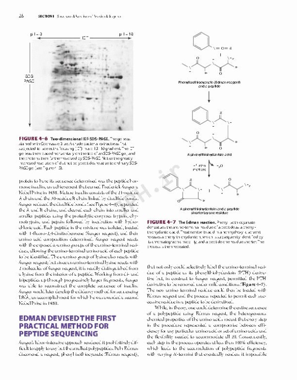 بیوشیمی مصور هارپر 2022 | Harper's Illustrated Biochemistry 32nd Edition