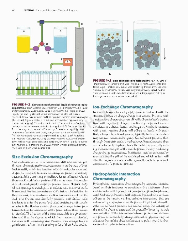 بیوشیمی مصور هارپر 2022 | Harper's Illustrated Biochemistry 32nd Edition