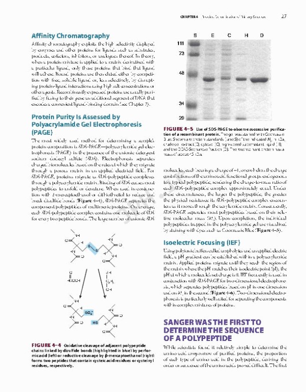 بیوشیمی مصور هارپر 2022 | Harper's Illustrated Biochemistry 32nd Edition