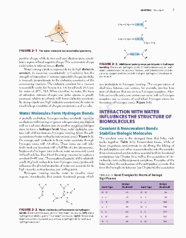 بیوشیمی مصور هارپر 2022 | Harper's Illustrated Biochemistry 32nd Edition