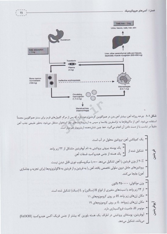 نمودارنامه اختلالات گلبول‌های قرمز