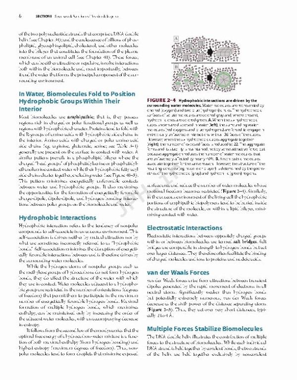 بیوشیمی مصور هارپر 2022 | Harper's Illustrated Biochemistry 32nd Edition