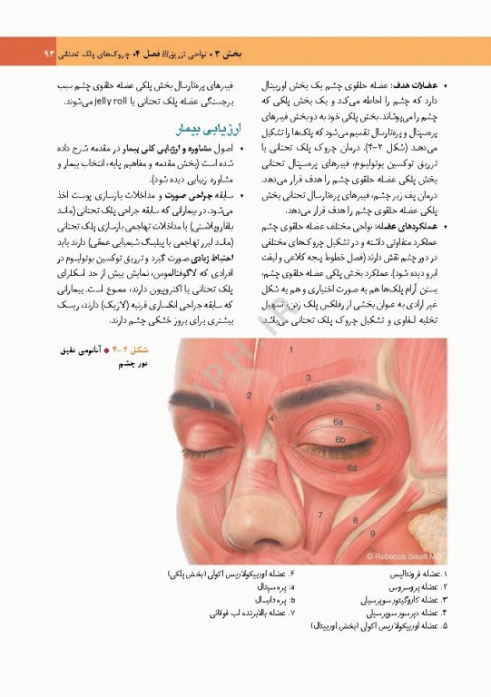 راهنمای کاربردی تزریق توکسین بوتولینوم دکتر رمزی