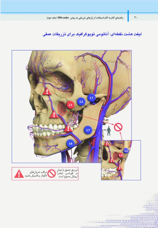 راهنمای گام به گام استفاده از ژل‌های تزریقی به روش MD-Codes جلد دوم