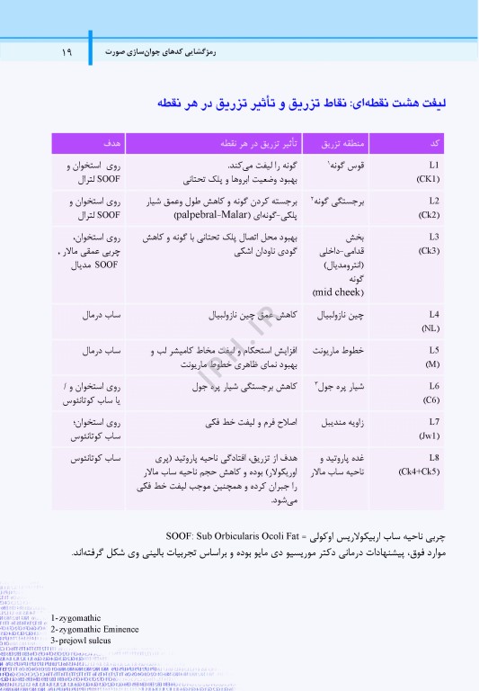 راهنمای گام به گام استفاده از ژل‌های تزریقی به روش MD-Codes جلد دوم