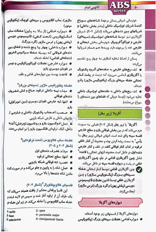 گزیده کتب مرجع ABS آناتومی اندام دکتر داوود رمزی ویرایش دوم