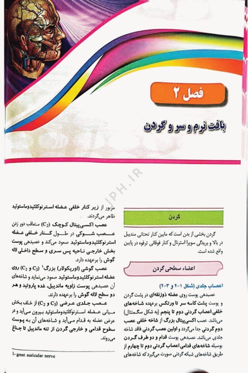 گزیده کتب مرجع ABS آناتومی سر و گردن دکتر داوود رمزی